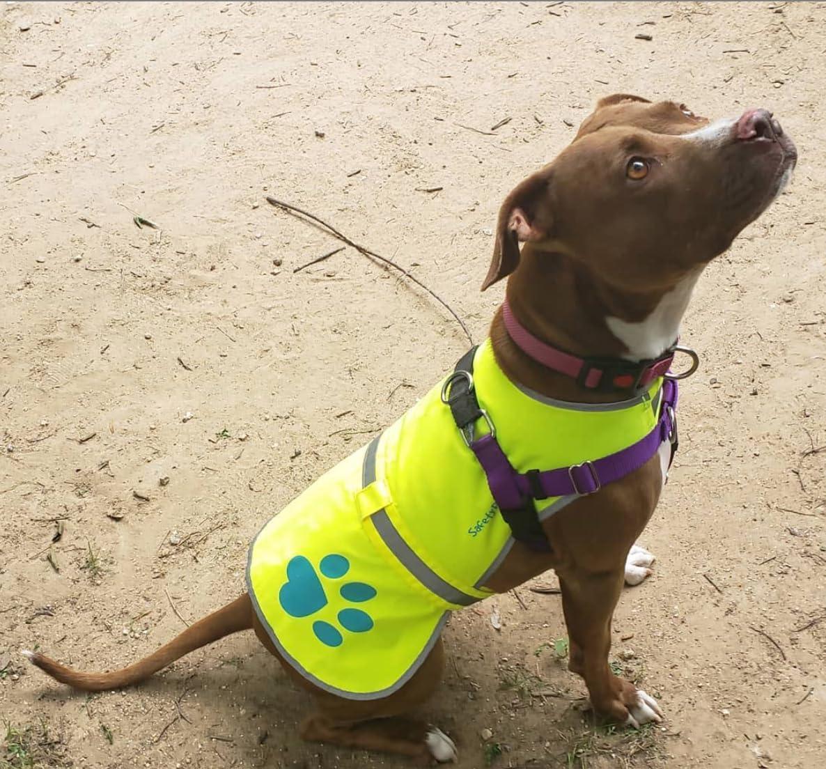 Reflective Dog Safety Vest Hi-Vis S Size 24.5 in Chest x 17 in Neck Yellow