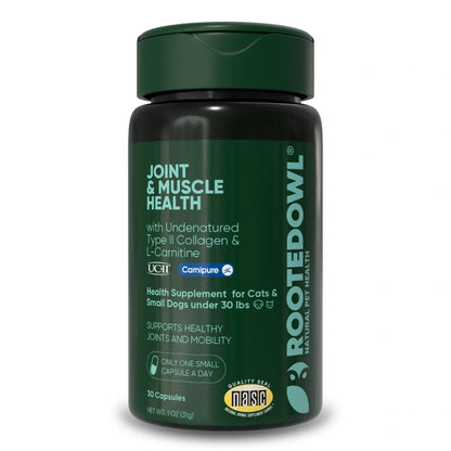 Joint & Muscle Health