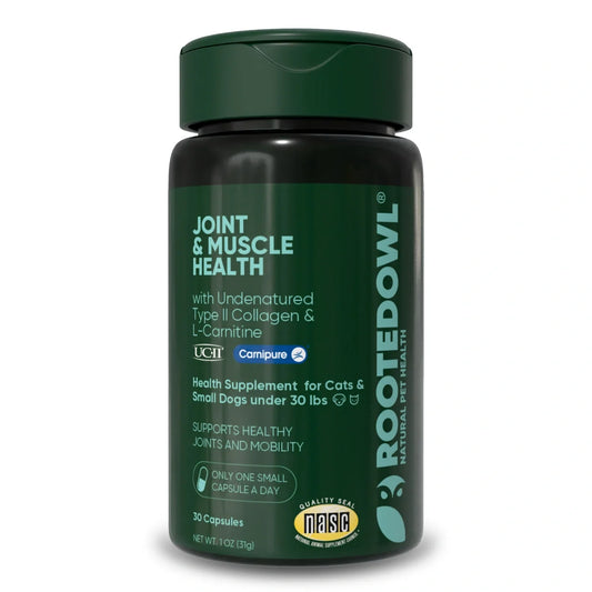 Joint & Muscle Health