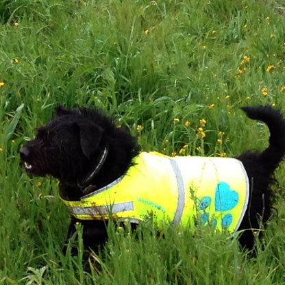 Reflective Dog Safety Vest Hi-Vis S Size 24.5 in Chest x 17 in Neck Yellow