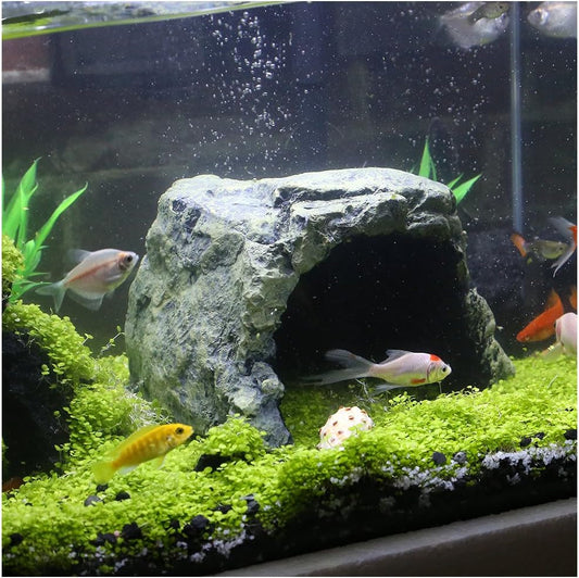 Reptile Rock Hide Cave Natural Resin Habitat for Lizards Turtles Fish