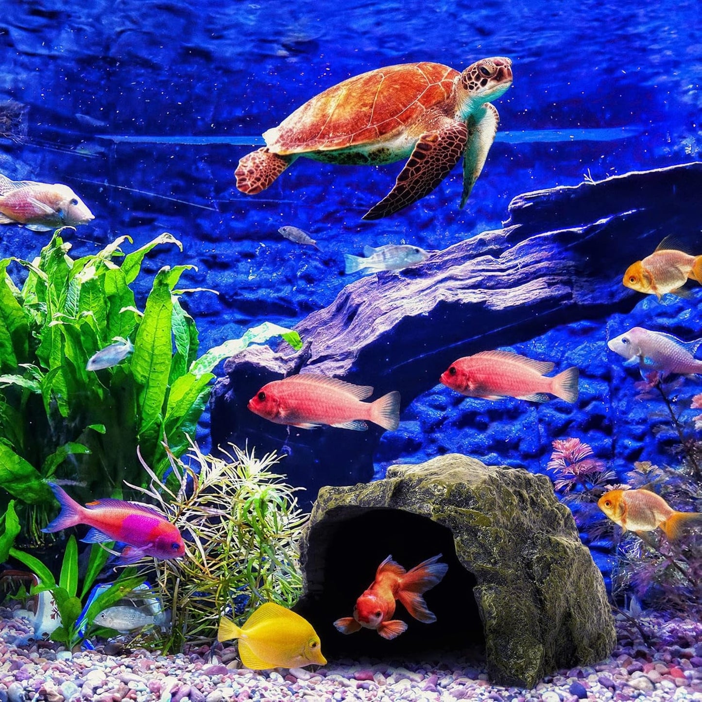 Reptile Rock Hide Cave Natural Resin Habitat for Lizards Turtles Fish