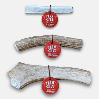 Elk Antler Dog Chews | All-Natural Whole and Split Elk Antler Chews for Dogs