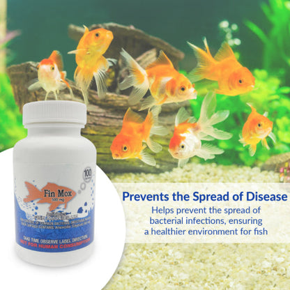 Fish Mox 500mg Capsules for Aquarium Fish – 100 Count – Water Care Support