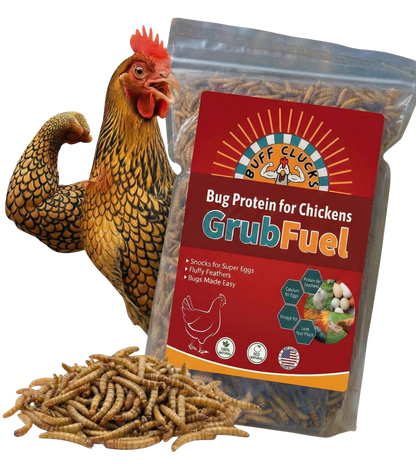 GrubFuel - Black Soldier Fly Larvae for chickens