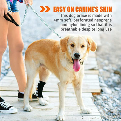 NeoAlly Dog Rear Leg Hock Brace with Safety Reflective Straps for Large Dogs [Long Version]