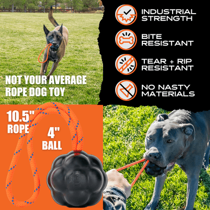 Rumble Ball with Rope (Rope May Vary)